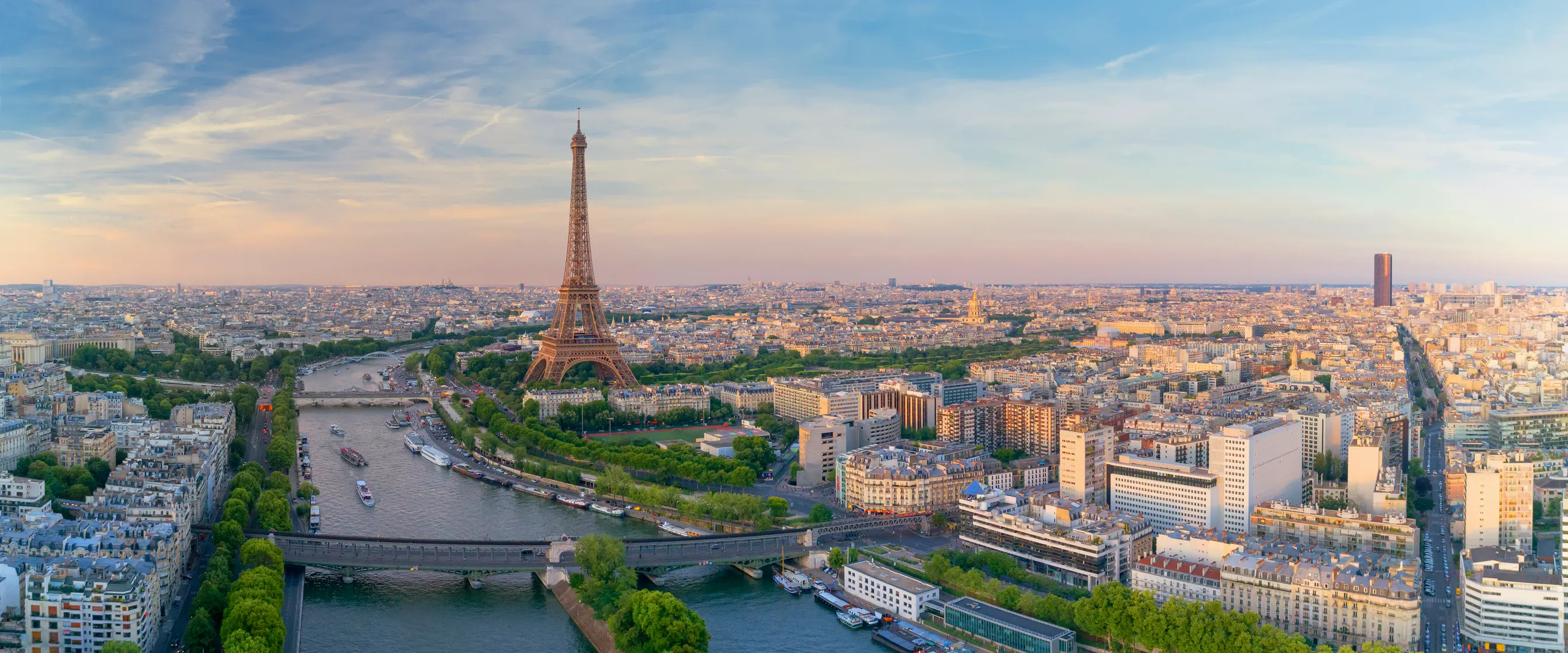 View of Paris with the Eiffel Tower